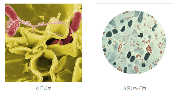 小心！你的快递正在“偷渡”小强！