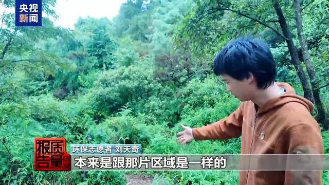 云南大理“采菌游”爆火 无序采摘已引发多起警情
