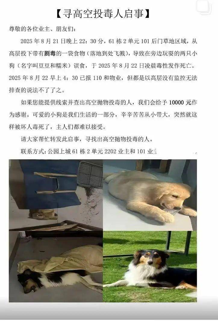 广西一小区有人高空抛食毒死多条宠物狗，居民悬赏万元寻线索，警方已立案调查