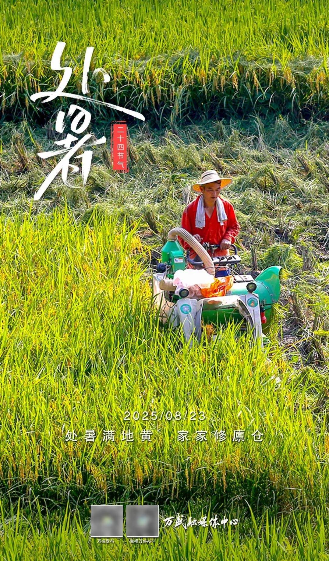 处暑|与盛夏告别美好向初秋进发