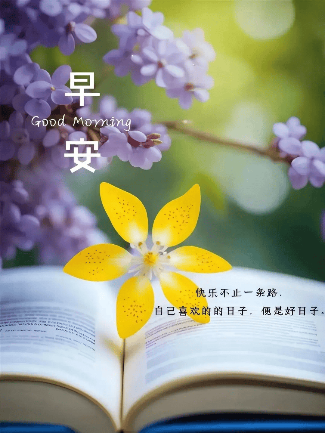 最新版早安问候大全,早上好新版祝福问候句子精选