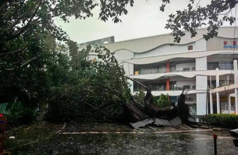 “剑鱼”成有气象记录以来影响三亚最强台风：市民寸步难行无助抱树，豪华酒店大门被吹掉