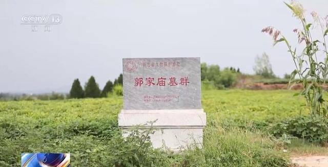 看小说学盗墓挖走20余件国宝 特大盗墓案细节曝光