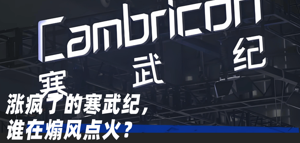石头科技“贪大”，昌敬“不务正业”