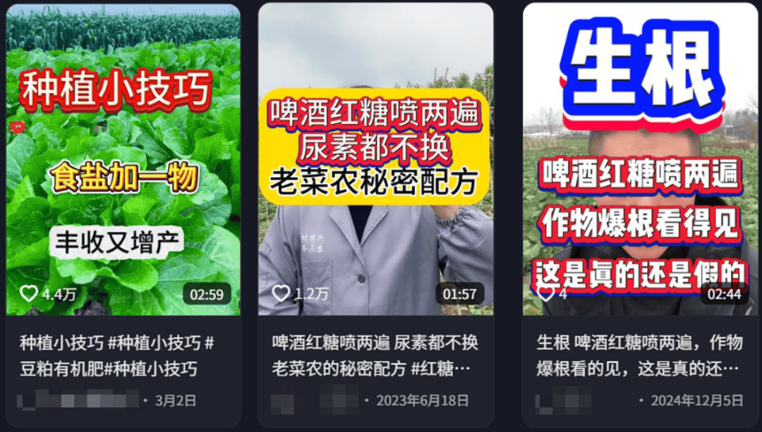 为了骗农民的钱，这群人注册了上千个账号。