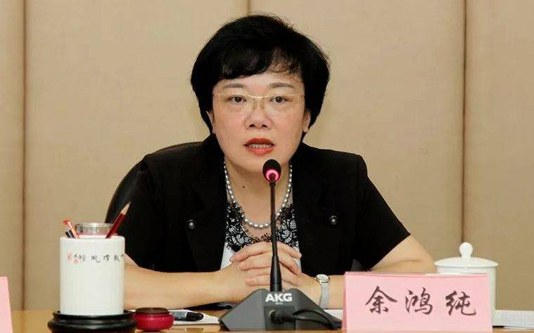 广东官宣：余鸿纯被查