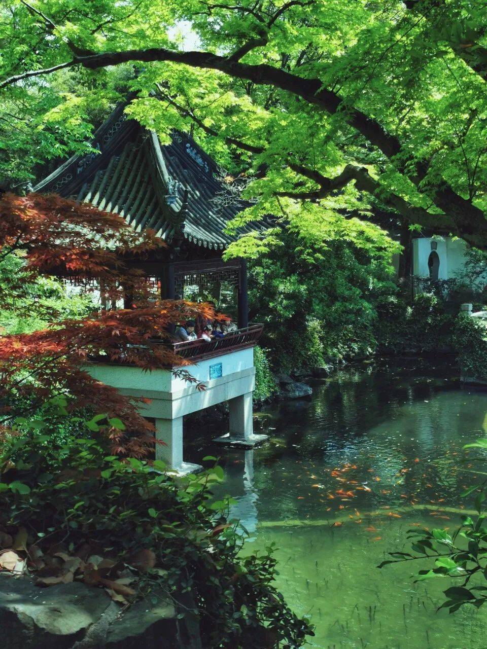 上海五大古典园林之一:曲水园!免费游园攻略来啦!