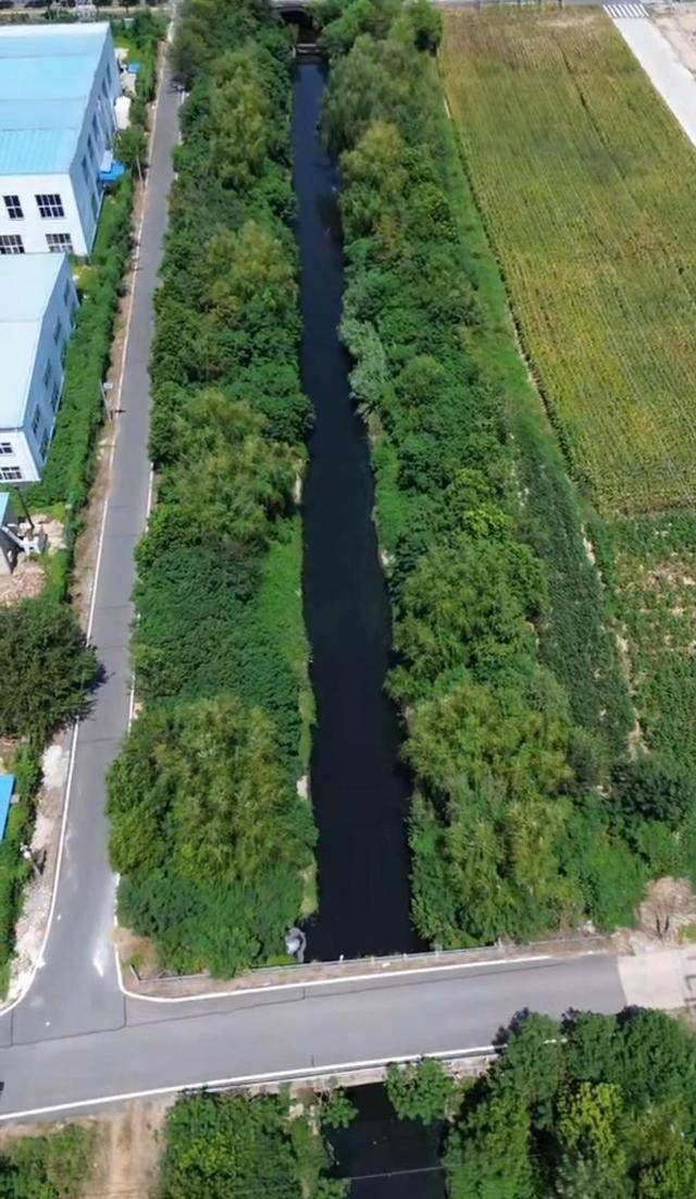 湖北孝感一河流被曝成"黑水河&qu