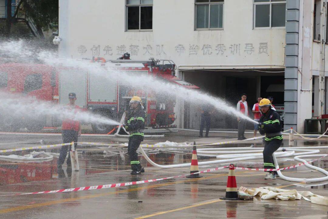 文章配图-7