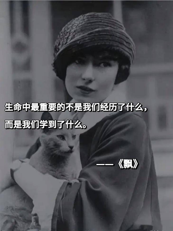 �ٶ�����������Ʈ��������Խ��Խǿ�������ͻ�Խ��Խ��