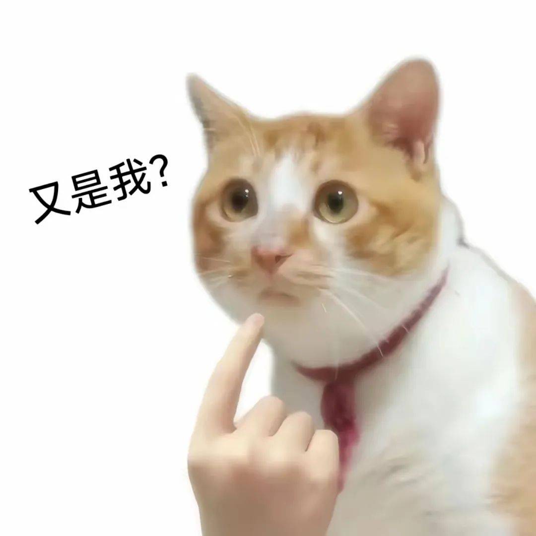 表情包:你得给我个说法