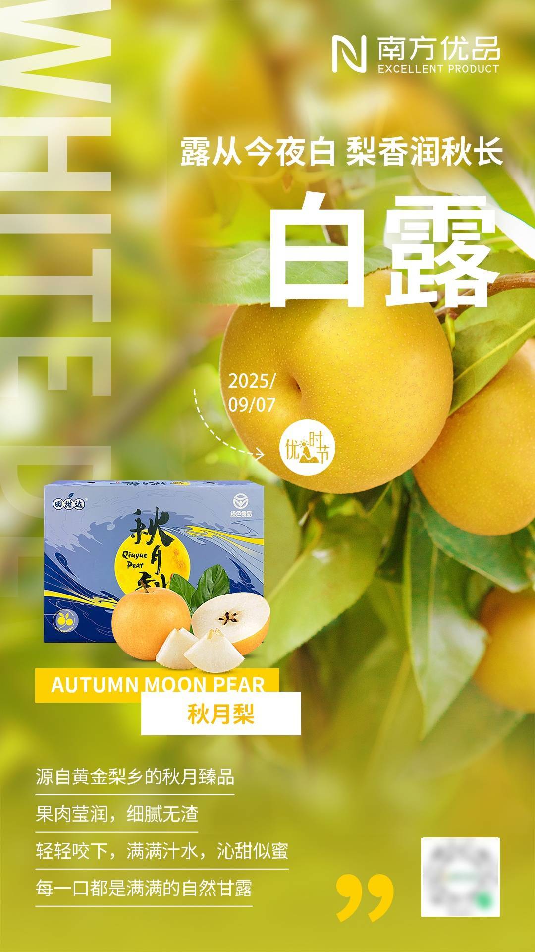 优·时节 | 露从今夜白 梨香润秋长_白露_节气_养生
