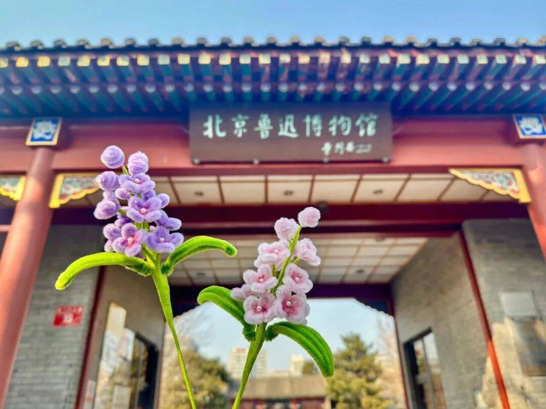 鲁迅故居):北京鲁迅博物馆01索书号:i210