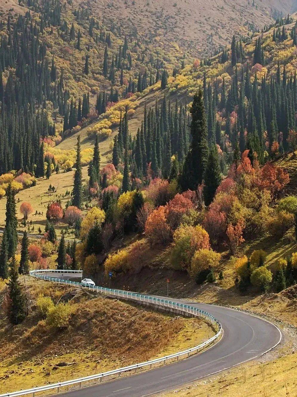 新疆天山天池最美公路 新疆天山天池最美公路