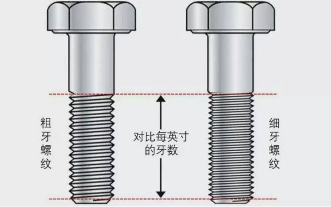 螺丝牙数是什么意思?