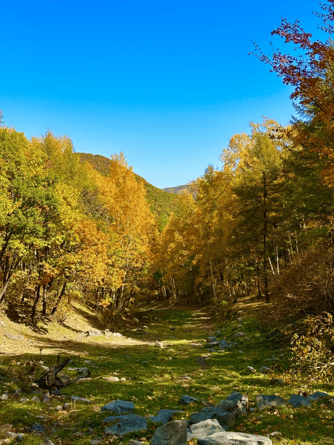 21日:金秋徒步圣地 大青山•美林谷-克旗赏秋