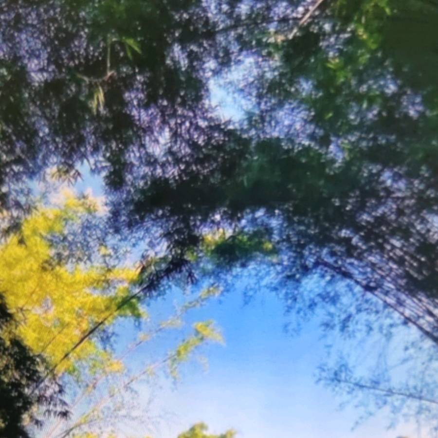 卡利亚里VSAC米兰高清无插件视频直播在线观看