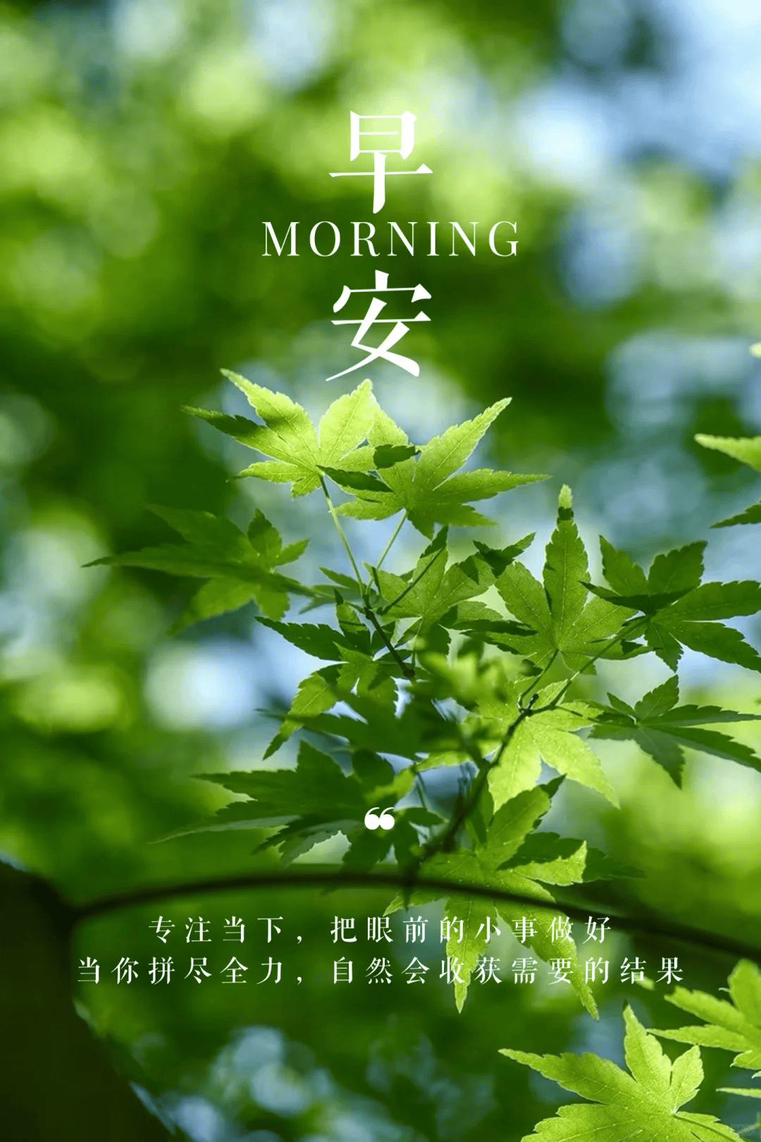 9月15日早安正能量励志句子,让人醒醐灌顶的励志朋友圈文案!