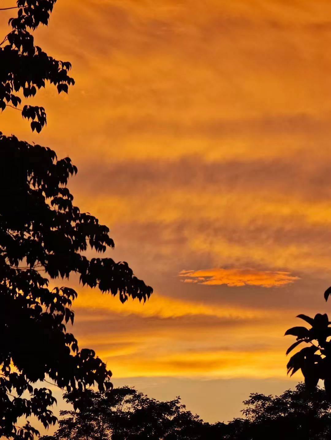 ▼以下图片来源于朋友圈图源:小红书@陈皮朋友圈瞬间被刷屏绚烂的晚霞