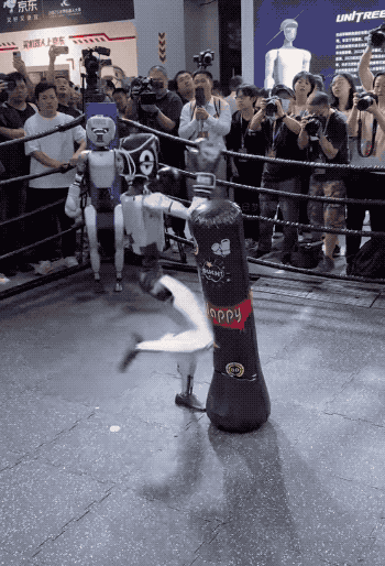 风口上的机器人，其实离“上班”还有点远。