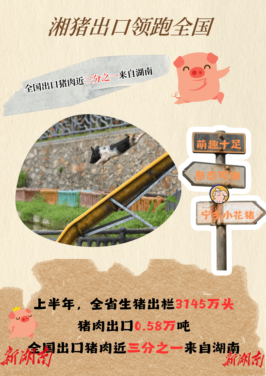 丰收啦！