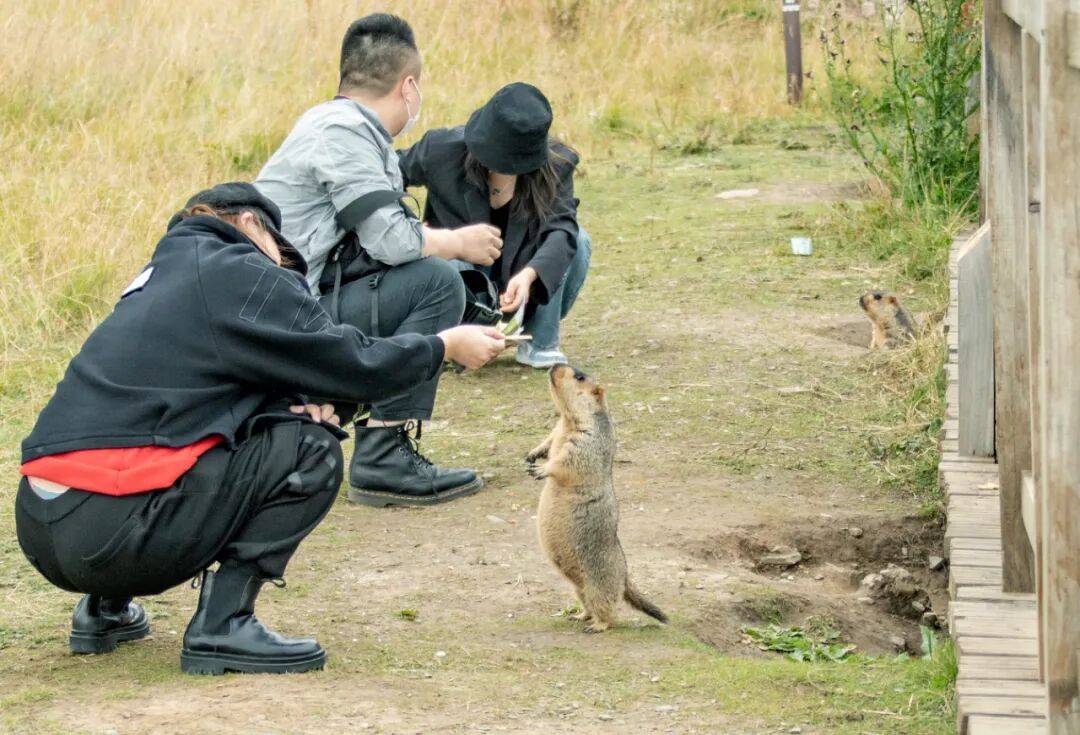 图片[6]-去高原遇到这网红，劝你看看就算了 -华闻时空