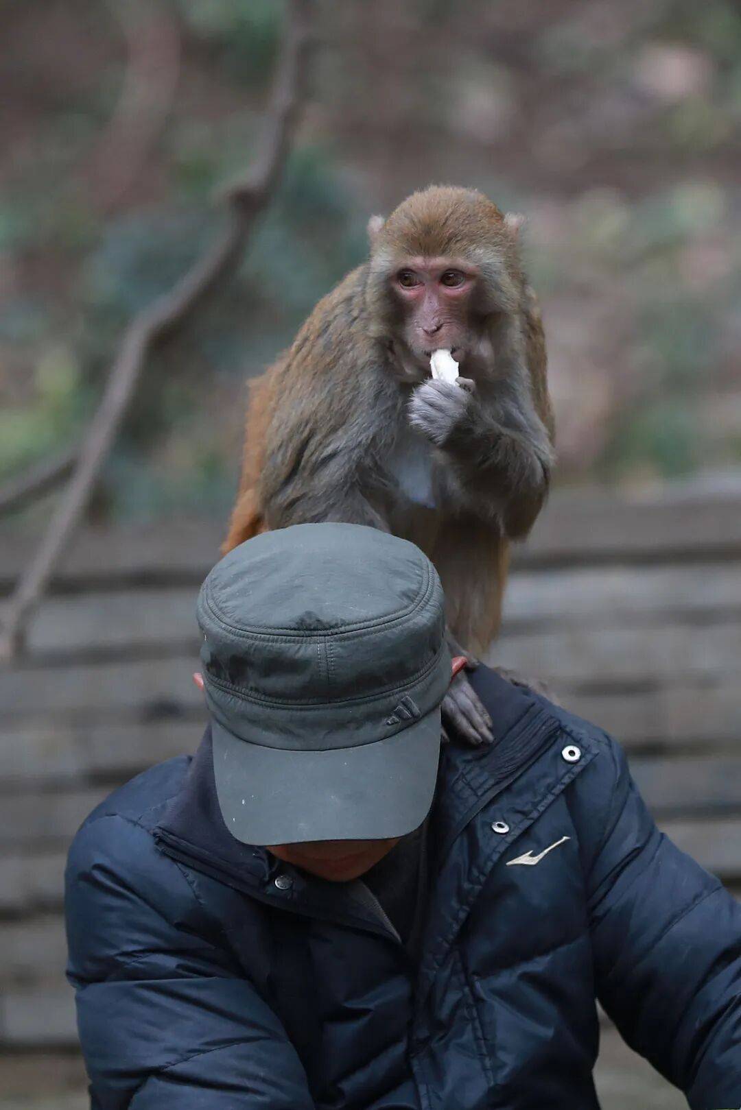 图片[10]-去高原遇到这网红，劝你看看就算了 -华闻时空