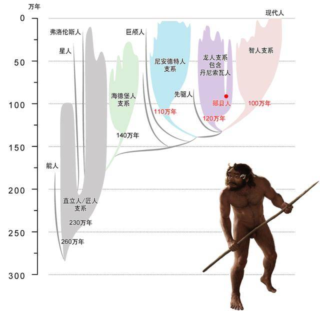 最新研究刷新人类演化时间线