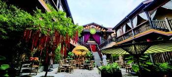 青岛市市北区老城焕新记！“文旅+”解锁历史城区的N种活力