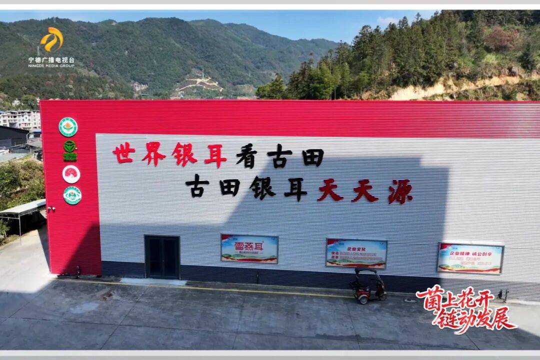 闽东先锋行 | 古田：菌上花开 “链”动发展