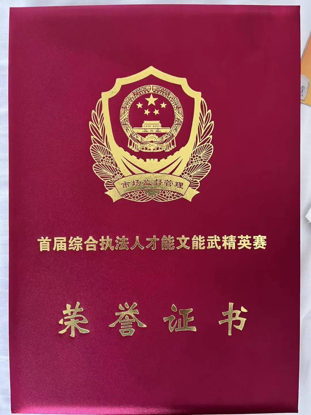 全国能文能武综合执法高手