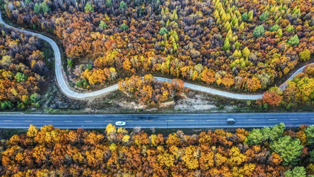 天气黑河今日情况