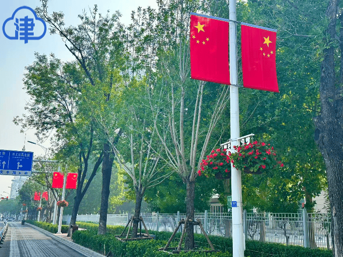 天津国庆“多巴胺花境”打卡合集来了！全城宝藏点位，免费又出片，别错过！