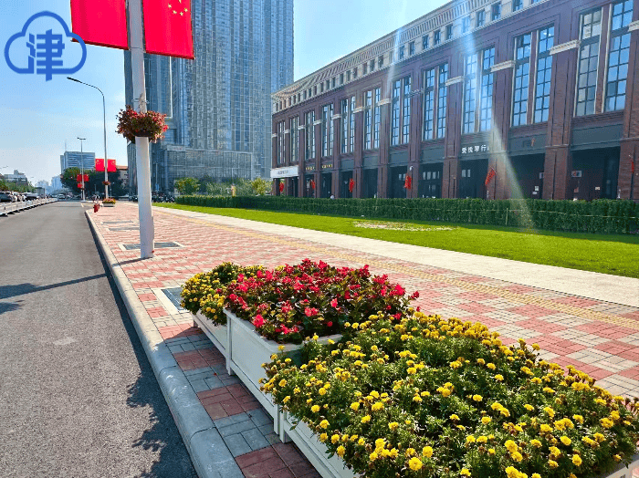 天津国庆“多巴胺花境”打卡合集来了！全城宝藏点位，免费又出片，别错过！