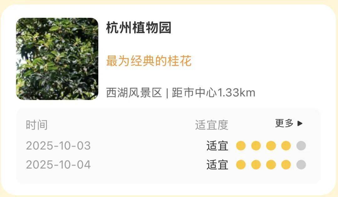 进度达70%！杭州即将进入全盛期，别错过！