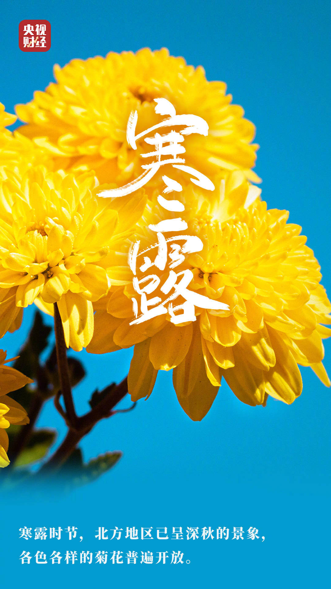 2025农历寒露生肖运势(2025农历寒露生肖运势查询)