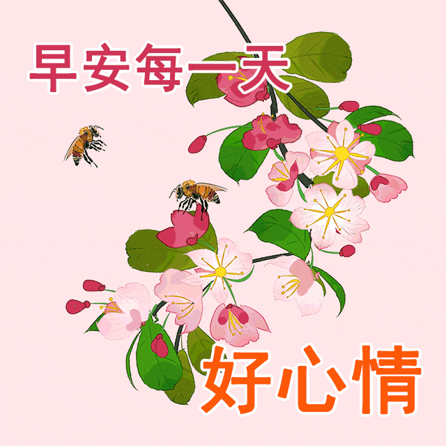 今日最新早上好表情图片大全,秋风秋雨秋天凉,祝福快乐暖心房