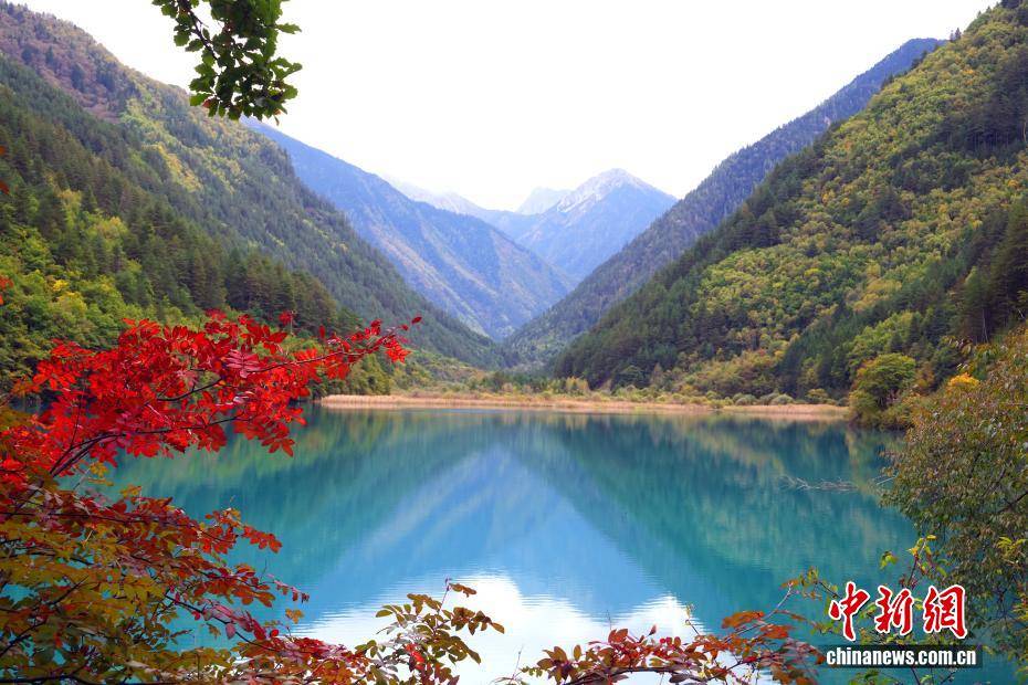 九寨沟秋景如画引游人