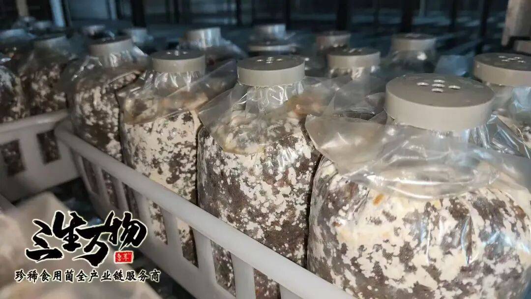 喜讯！章丘又获批1家国家级科技小院