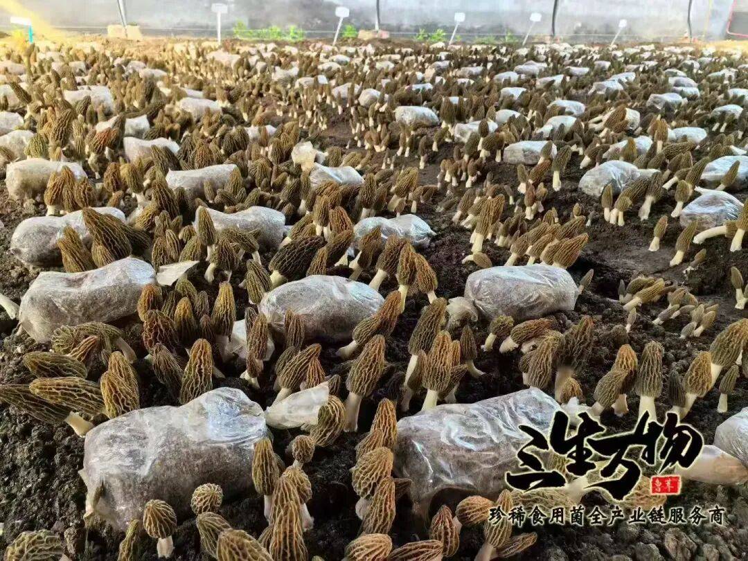 喜讯！章丘又获批1家国家级科技小院