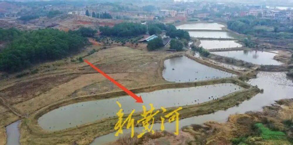 湖南65岁农妇挖11.98亩鱼塘养鱼，被控非法占用农地罪羁押超10个月，二审免于刑事处罚，当事人：坚持无罪申诉