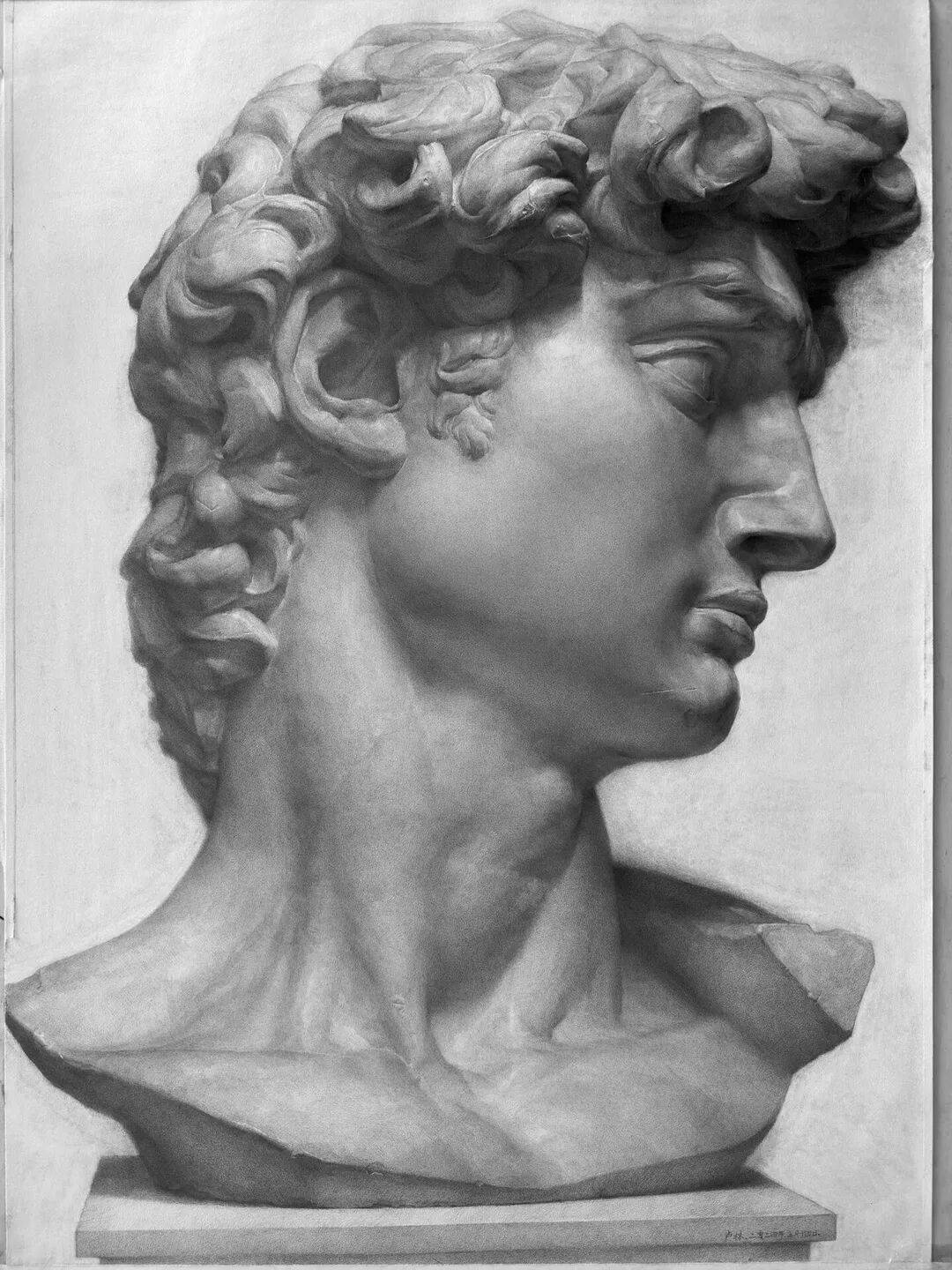 大卫石膏像素描,细腻!