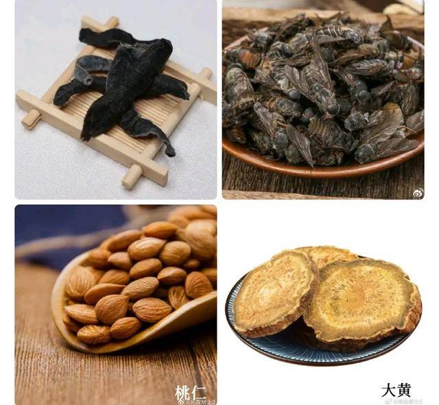 原创            猛药用得好，顽疾跑不了！抵当汤可治愈多种顽疾！