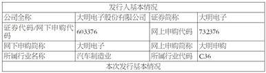 大明电子股份有限公司 首次公开发行股票并在主板上市 招股意向书提示性公告