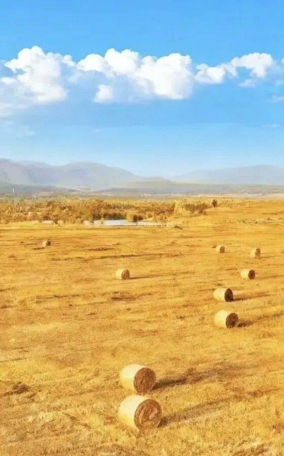 跟着蒙超去旅行！赛场战鼓撞上双城秋日，这里的秋景简直是颜值天花板