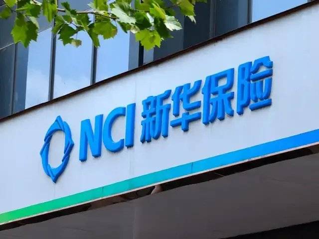 手握2000亿，新华保险炒股赚翻了