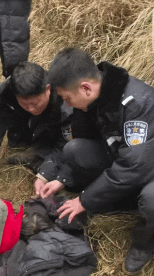 辽宁4岁走失女童自述：找奶奶迷路后睡在草地，期间无人接触