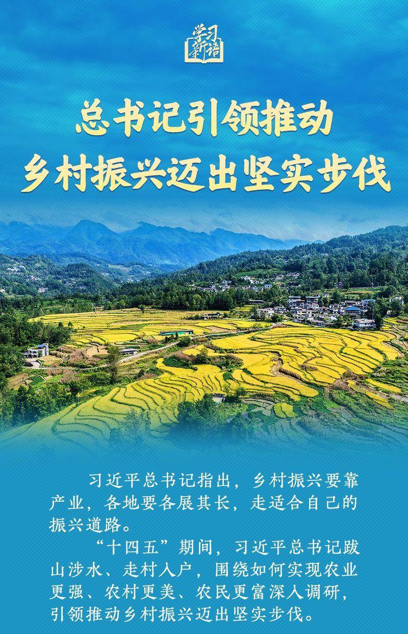 总书记引领推动乡村振兴迈出坚实步伐_新华社