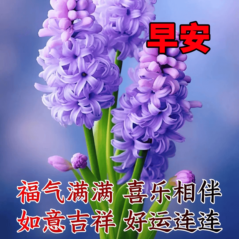 纯朴友情真挚问候_清晨祝福温暖关怀_问候早安的句子