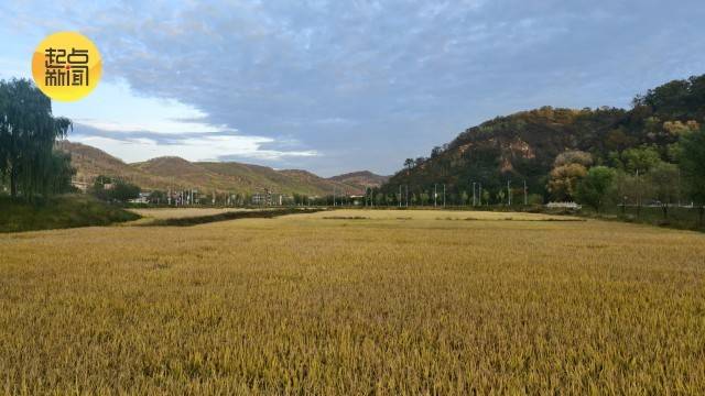 陕北好江南——南泥湾:时代更迭,精神长存 陕北好江南——南泥湾:时代更迭,精神长存